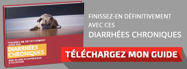 Télécharger le guide : "Finissez-en définitivement avec ces diarrhées chien chroniques"
