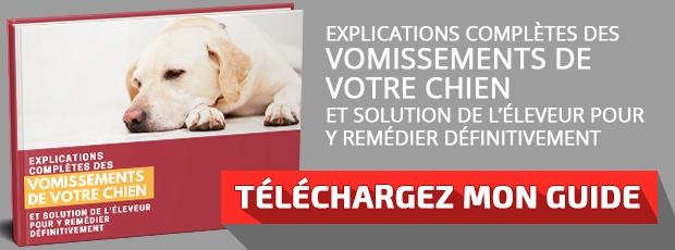 Télécharger le guide : "Explications completes des vomissements de votre chien et solution"