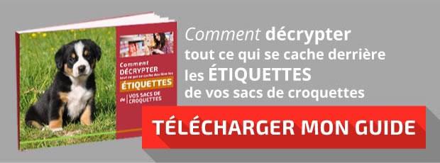 Télécharger mon guide :
