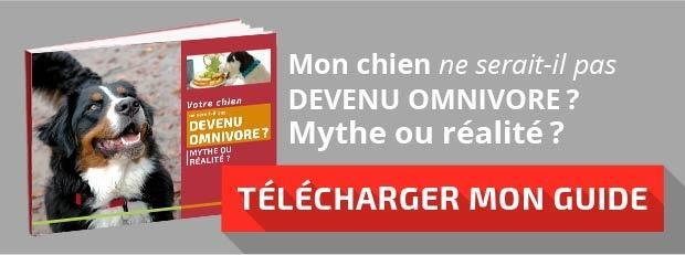 Acheter mes croquettes