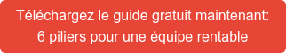 Téléchargez le guide gratuit maintenant: 6 piliers pour une équipe rentable