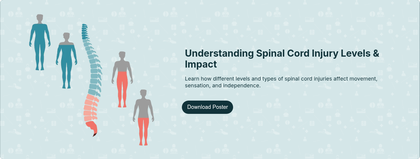 CTA_Levels of Spinal Cord Injury_New
