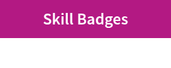 <p>Skill Badges</p>