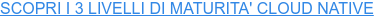 SCOPRI I 3 LIVELLI DI MATURITA' CLOUD NATIVE