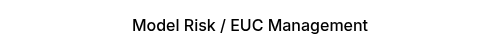 Model Risk / EUC Management