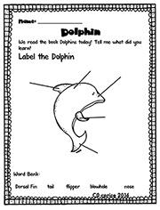 Ocean Life Study in First Grade—With FREE Activity Sheet!