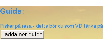 Guide: Risker på resa - detta bör du som VD tänka på när dina medarbetare vistas utomlands i tjänsten Ladda ner guide