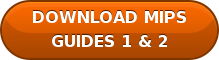 DOWNLOAD MIPS GUIDES 1 & 2