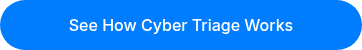 See How Cyber Triage Works
