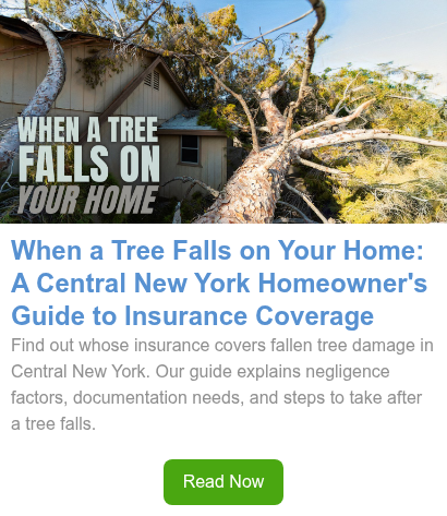 When a tree falls on your home - a Central New York homeowners guide to insurance coverage