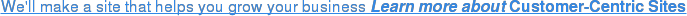 We'll make a site that helps you grow your business Learn more about Customer-Centric Sites