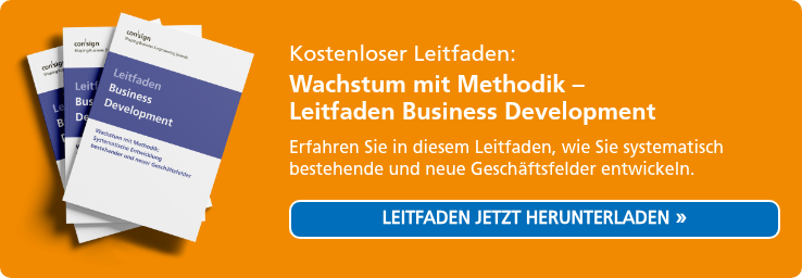 Mockup des Titelseite des Leitfadens Business Development von consign.