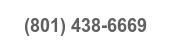 (801) 438-6669