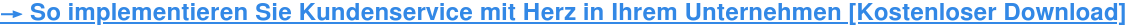 → So implementieren Sie Kundenservice mit Herz in Ihrem Unternehmen  [Kostenloser Download]