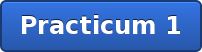 Practicum 1