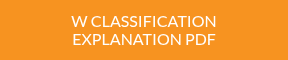 W CLASSIFICATION EXPLANATION PDF