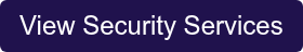 View Security Services