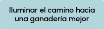 Iluminar el camino hacia una ganadería mejor