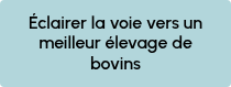 Éclairer la voie vers un meilleur élevage de bovins