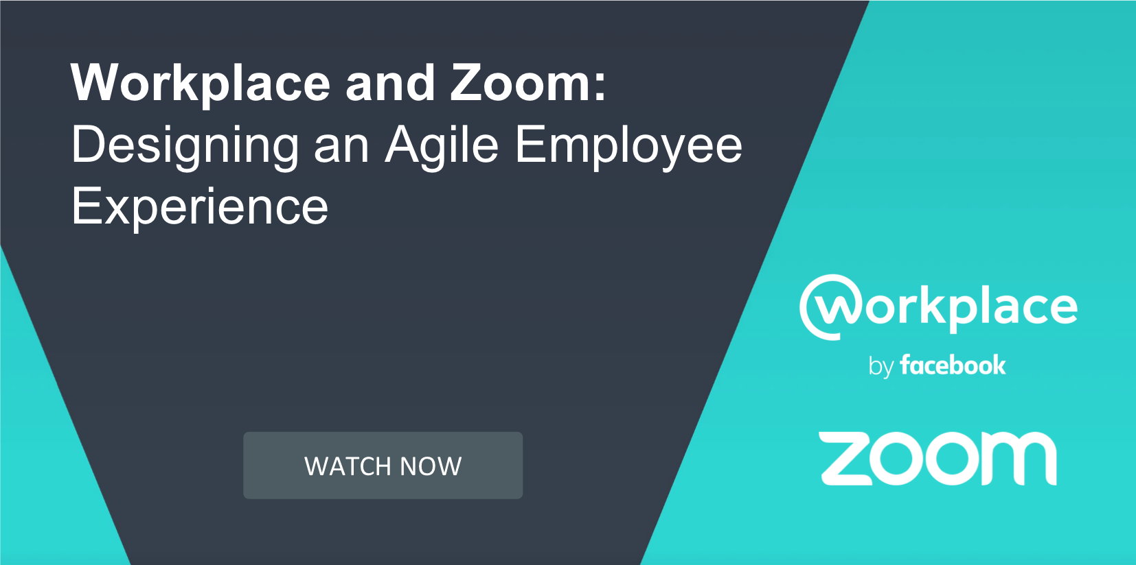 download zoom workplace