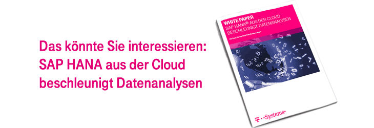 Holen Sie sich unser White Paper zu SAP HANA aus der Cloud!