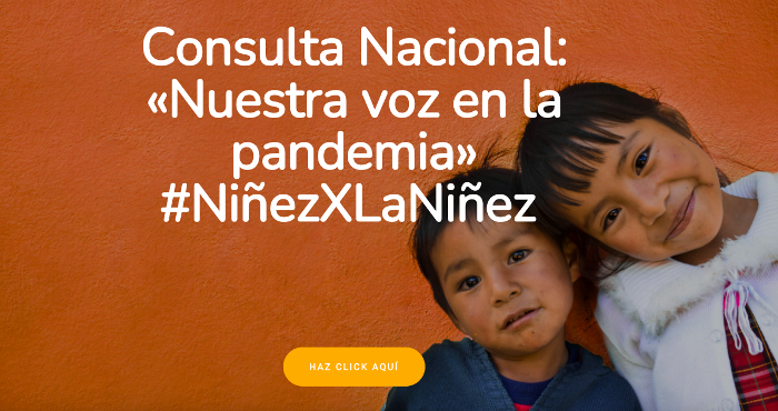 Consulta Nacional: «Nuestra voz en la pandemia»