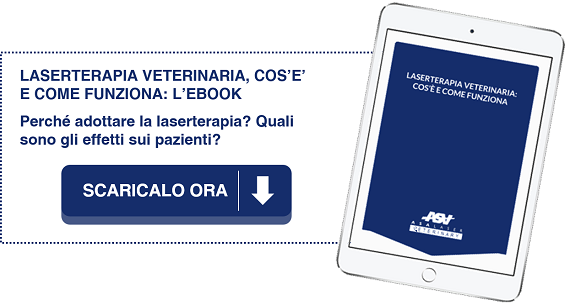Scopri i campi di applicazione della laserterapia