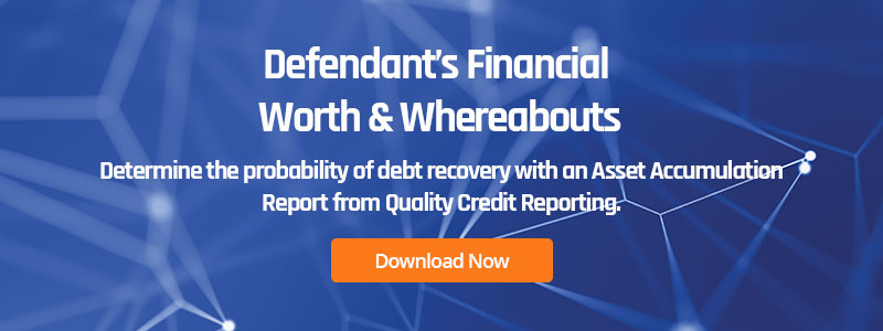 Defendant's Financial Worth & Whereabouts Brochure