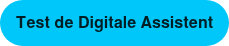 <p>Test de Digitale Assistent</p>