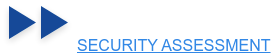 SECURITY ASSESSMENT