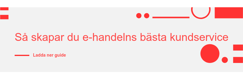 Så skapar du e-handelns bästa kundservice Ladda ner guide