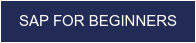 SAP FOR BEGINNERS