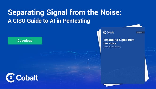 CISO Guide: Separating Signal from the Noise cover image