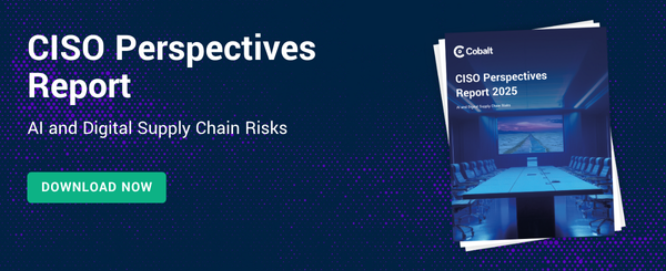 CISO Perspectives Report 2025