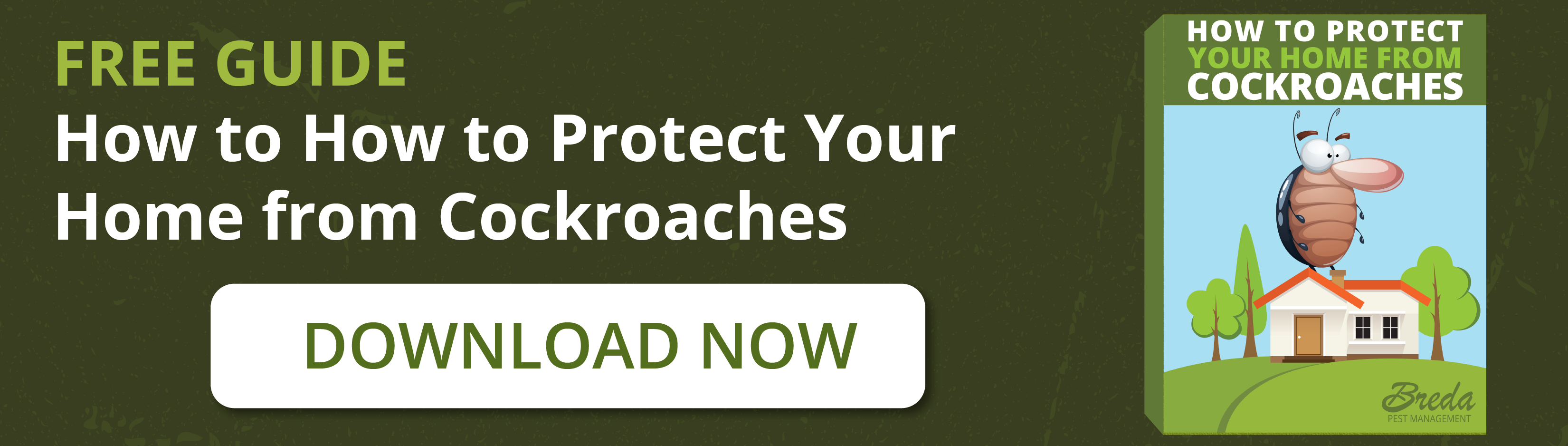 How To Stop Bugs From Making Your House Their Winter Home