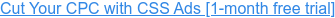 Save up to 20% on clicks with CSS ads