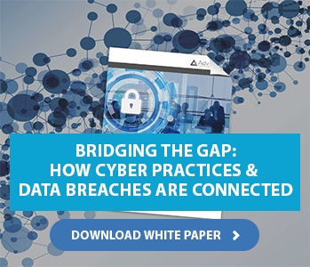 Cybersecurity & Data Breaches White Paper