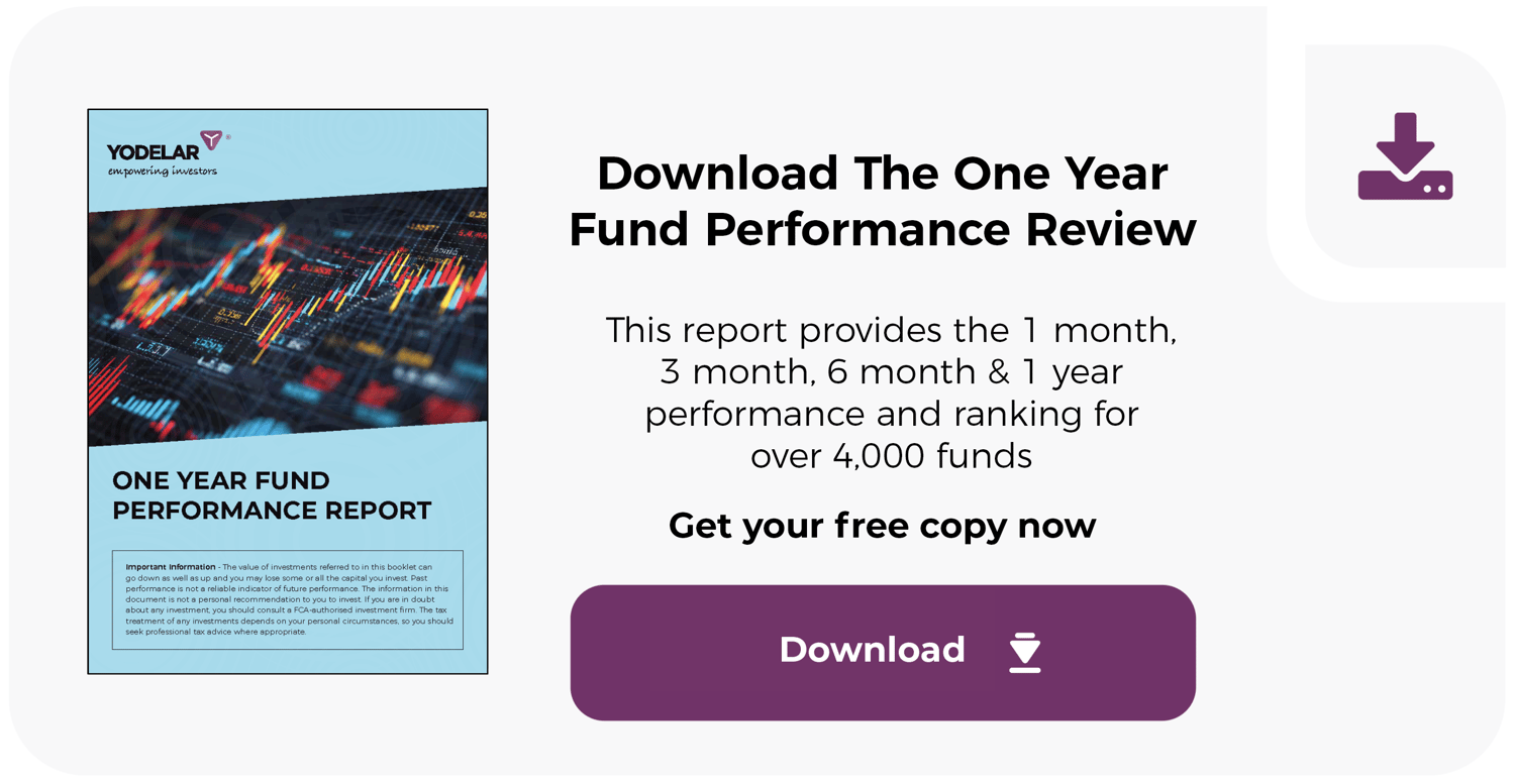 Download The One Year Fund Performance Review