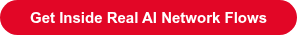 Get Inside Real AI Network Flows