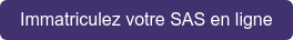 Immatriculez votre SAS en ligne