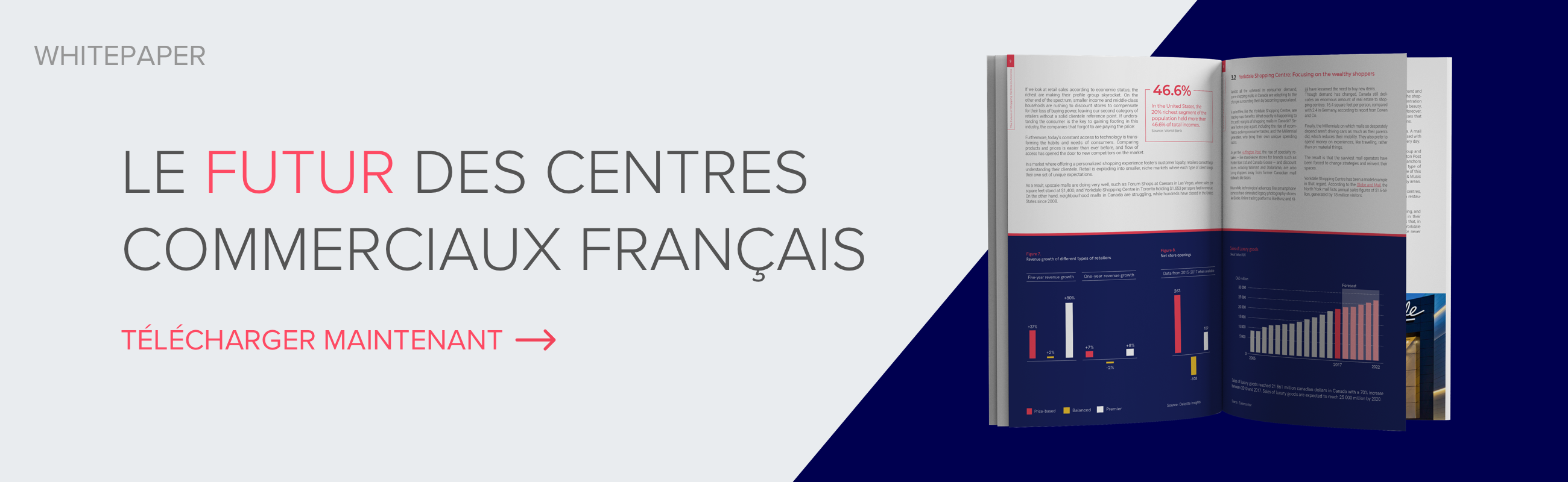 Le futur des centres commerciaux français