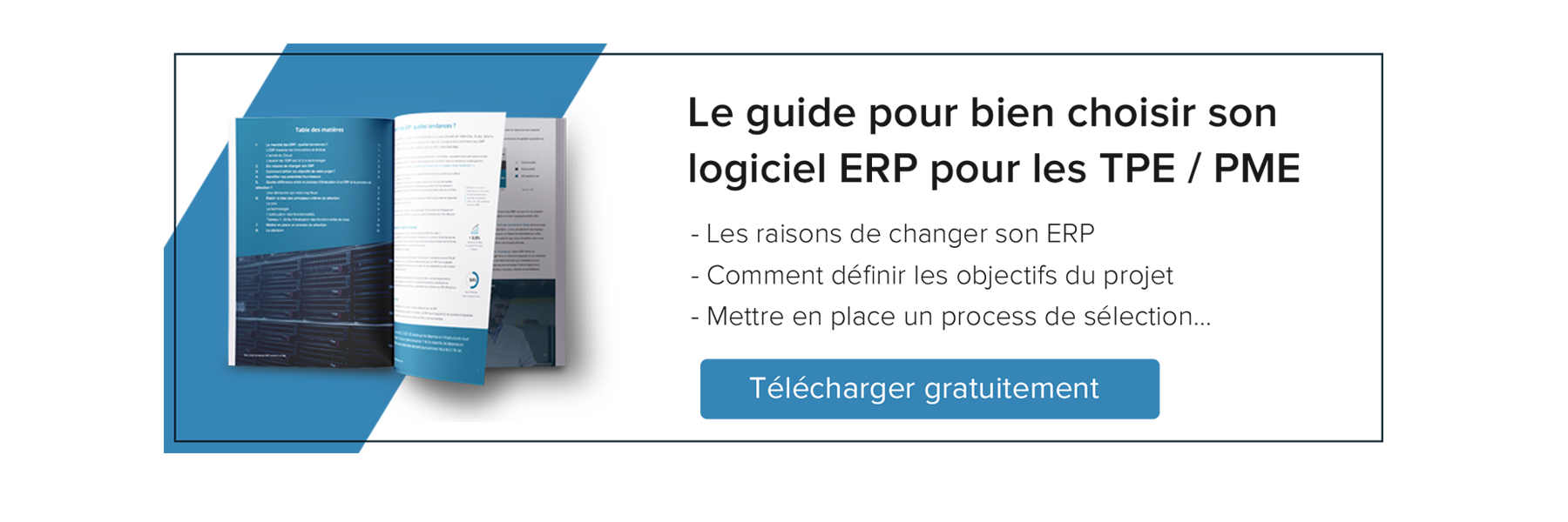 Choix ERP Guide