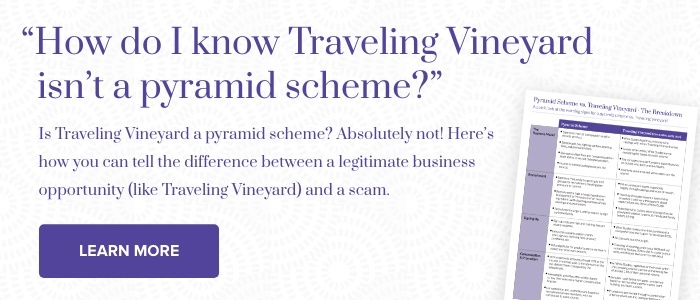 Pyramid-Scheme-vs-Traveling-Vineyard