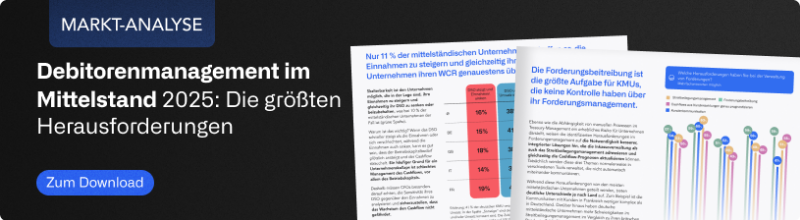 debitorenmanagement