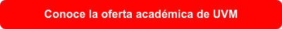 Conoce la oferta académica de UVM