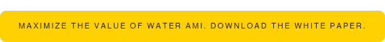 Maximize the value of water AMI. Download the white paper.
