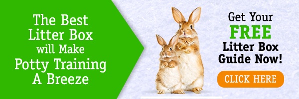 Guide to Creating the Ideal Litter Box