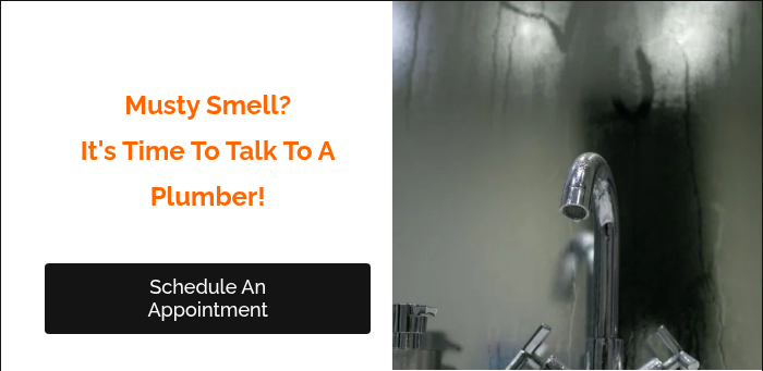 &nbsp; Musty Smell? It's Time To Talk To A Plumber! &nbsp; &nbsp;