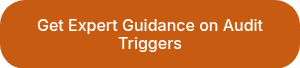Get Expert Guidance on Audit Triggers