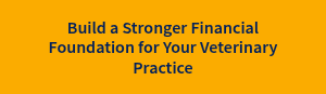 Build a Stronger Financial Foundation for Your Veterinary Practice